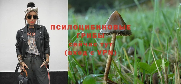 ALPHA PVP Балабаново
