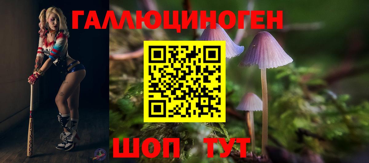Псилоцибиновые грибы Magic Shrooms Калуга