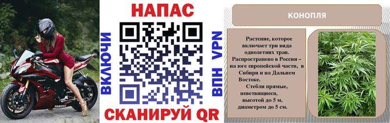 купить наркотики цена  Калуга  Канабис VHQ 